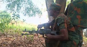 Kwango: 17 éléments Mobondo neutralisés par les FARDC