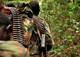 Nord Kivu : plus de 90 personnes exécutées par les ADF en seulement 5 jours à Lubero