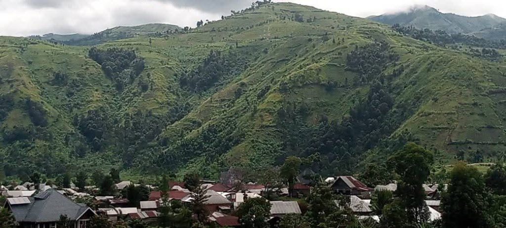Nord-Kivu : près de 40 morts dans des attaques des ADF à Lubero