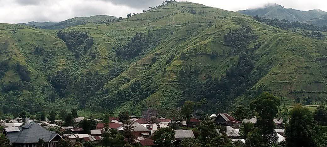 Nord-Kivu : près de 40 morts dans des attaques des ADF à Lubero