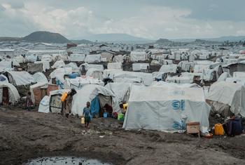 Crise humanitaire en RDC : Plus de 230 000 déplacés en 2025 face à la violence croissante