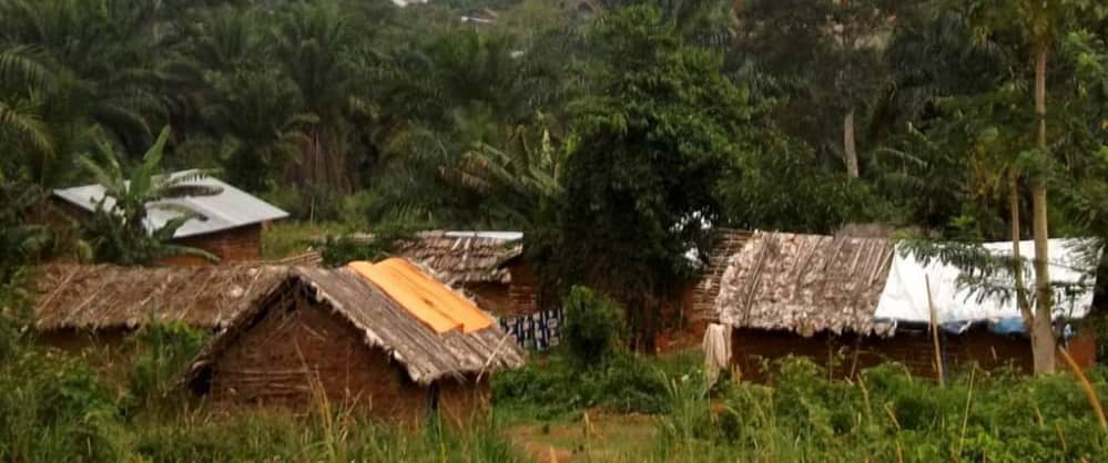 Nord-Kivu : Plus de dix ossements humains découverts  à Beni