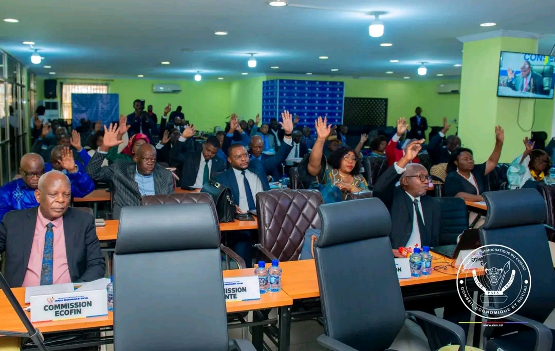 RDC : le conseil économique et social examine un plan national pour la gestion intégrée des déchets