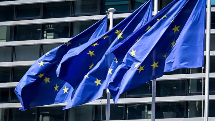 Les États-Unis, la France, l’Allemagne, le Royaume Uni et l&rsquo;Union européenne appellent au respect du cessez-le-feu en RDC