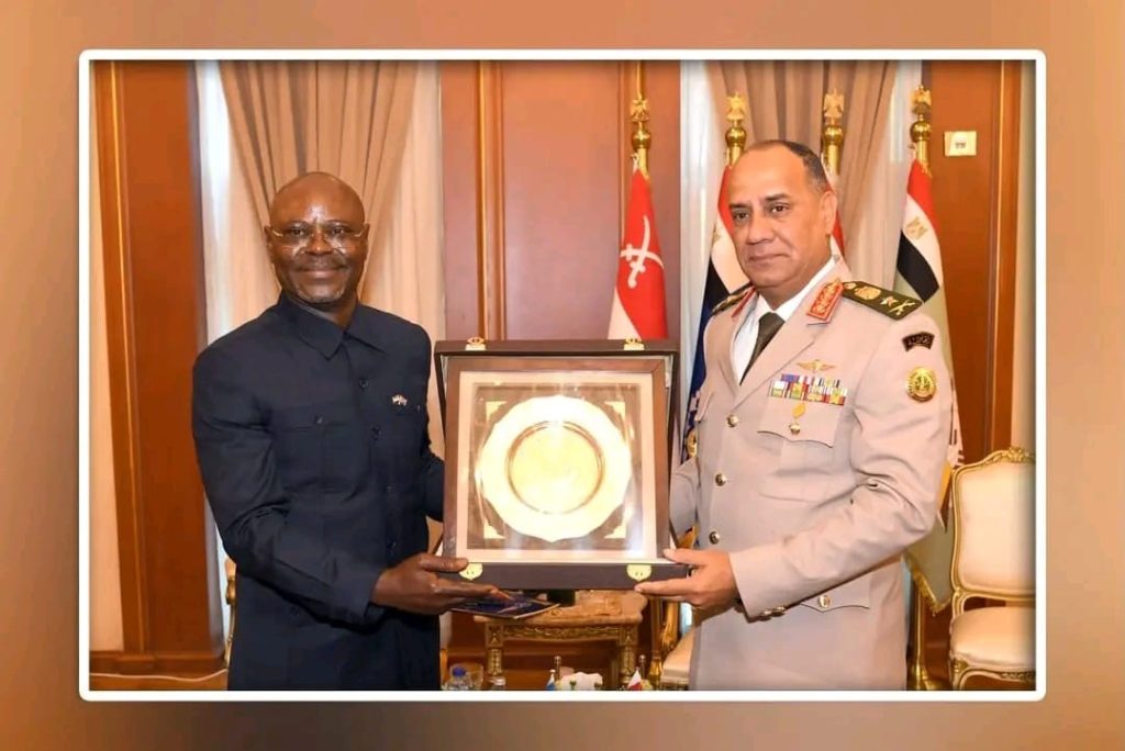 Défense : l&rsquo;Égypte propose un partenariat militaire structuré à la RDC