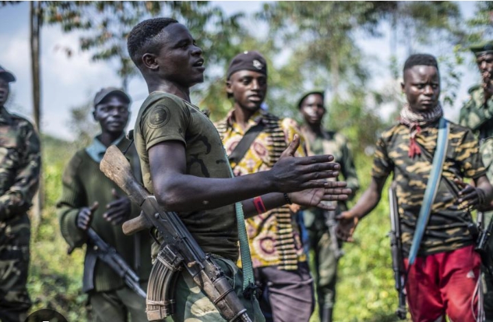 RDC : les FDLR officialisent leur entrée dans le processus de désarmement prévu par l&rsquo;accord de Washington