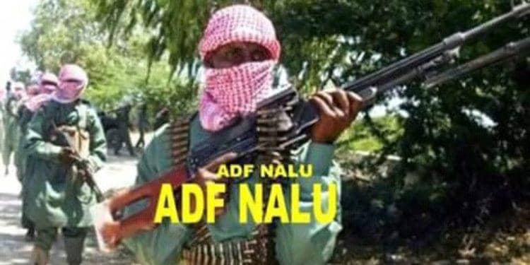 Ituri : au moins 10 fidèles massacrés par les ADF dans une église à Mambasa