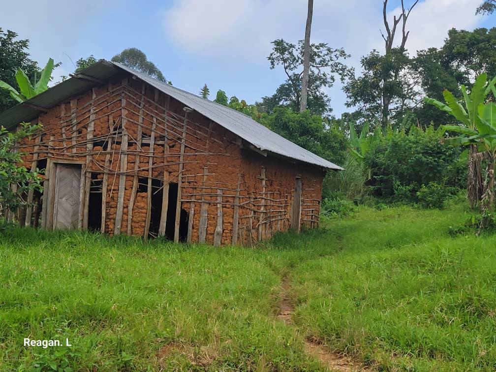 Ituri : des centaines de maisons abandonnées à Tchabi, les habitants réclament le renforcement de la sécurité