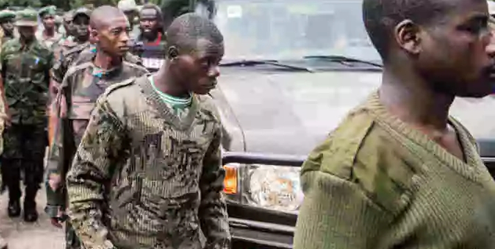 RDC : Kinshasa affirme avoir obtenu l’adhésion des FDLR au processus de désarmement