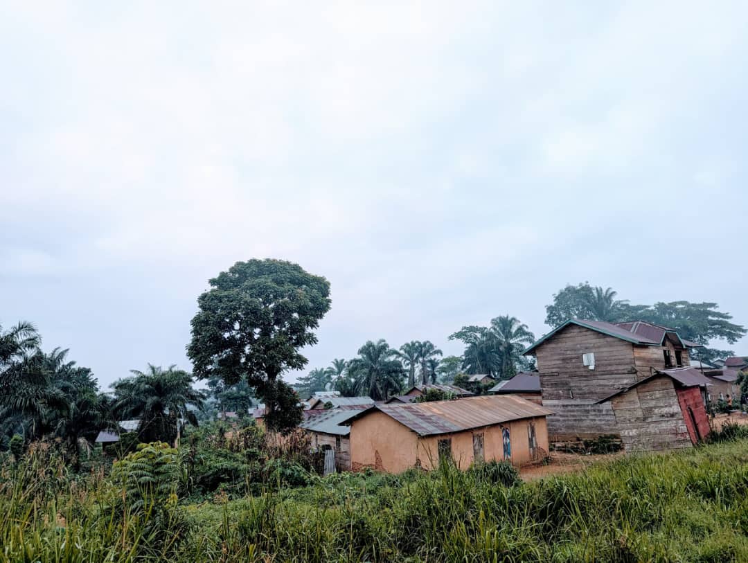 Ituri : des groupes armés se faisant passer pour des Wazalendo accusés d’exiger jusqu’à 500 000 FC aux civils Ituri : des groupes armés se faisant passer pour des Wazalendo accusés d’exiger jusqu’à 500 000 FC aux civils
