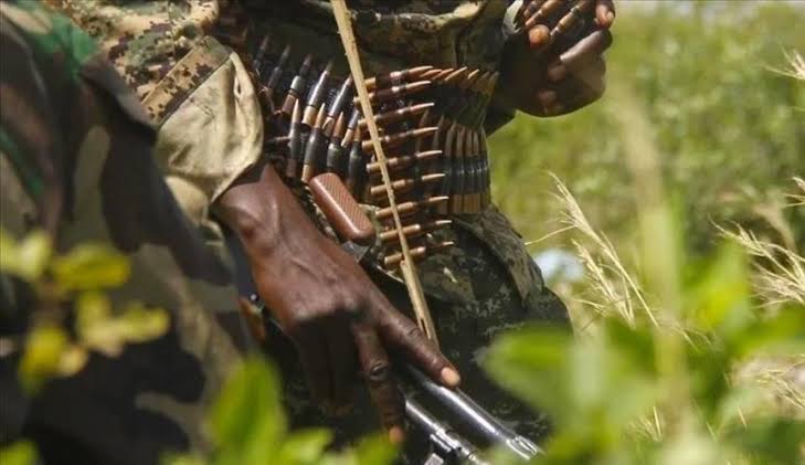 RDC : la milice sécessionniste Bakata Katanga ressurgit dans le Grand-Katanga RDC : la milice sécessionniste Bakata Katanga ressurgit dans le Grand-Katanga