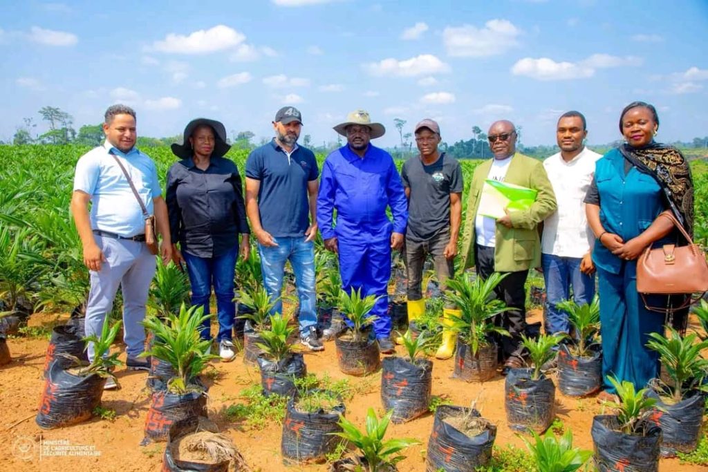 Tshopo : Muhindo Nzangi visite plus de 5 000 hectares de palmiers à huile exploités par CAP Congo