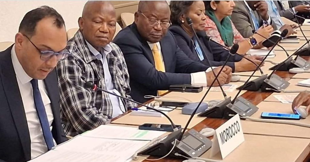 Genève : à l&rsquo;ONU, la CNDH-RDC plaide pour la protection des enfants dans la chaîne du cobalt