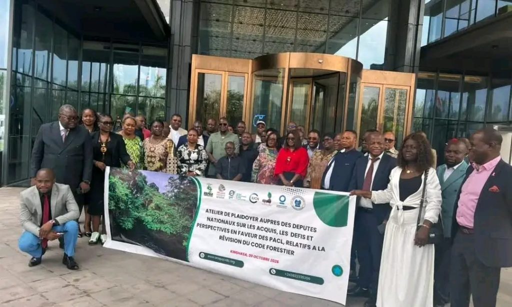 RDC : les députés veulent renforcer les droits des peuples autochtones dans la réforme du Code forestier