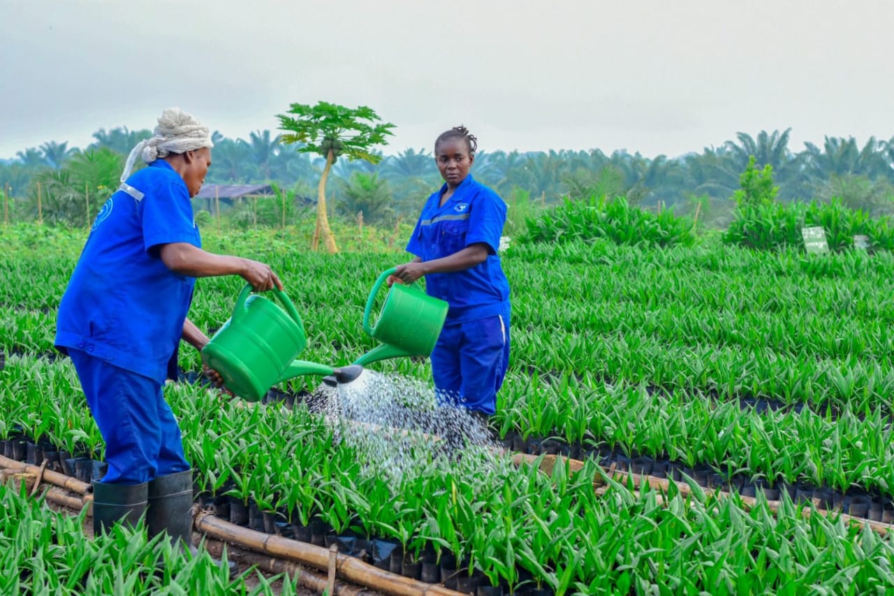 RDC : après les 57 millions de dollars dénoncés autour de Muhindo Nzangi, 5,7 millions d’autres sont introuvables au Kwango RDC : après les 57 millions de dollars dénoncés autour de Muhindo Nzangi, 5,7 millions d’autres sont introuvables au Kwango